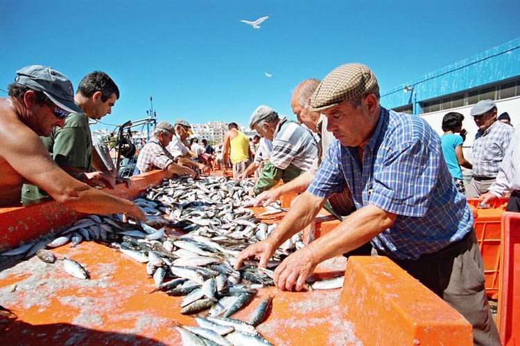 western-algarve-fish-market