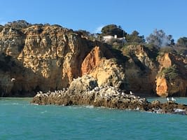 tour-alvor-boat-1200x900